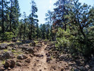 photo thumbnail #1