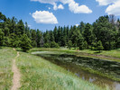 photo thumbnail #14