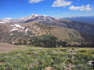 photo thumbnail #1