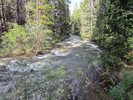 photo thumbnail #7