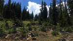photo thumbnail #7