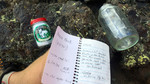 photo thumbnail #10