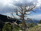 photo thumbnail #13