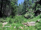 photo thumbnail #3