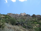 photo thumbnail #6