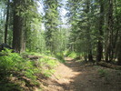 photo thumbnail #1