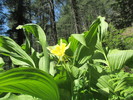 photo thumbnail #2