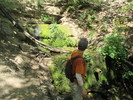 photo thumbnail #8