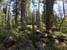 photo thumbnail #1