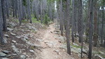 photo thumbnail #1