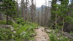 photo thumbnail #12