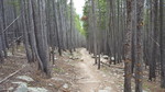 photo thumbnail #13