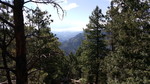 photo thumbnail #10