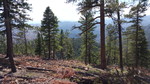 photo thumbnail #11