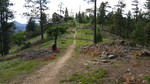 photo thumbnail #12