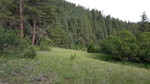 photo thumbnail #14