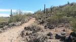 photo thumbnail #12
