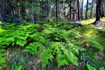 photo thumbnail #12