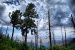 photo thumbnail #10