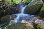 photo thumbnail #11