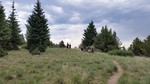 photo thumbnail #12