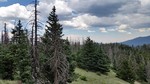 photo thumbnail #15