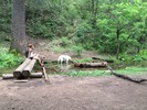 photo thumbnail #7