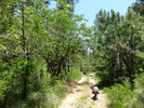 photo thumbnail #1