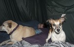 photo thumbnail #3