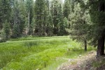 photo thumbnail #12