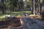 photo thumbnail #6