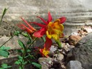 photo thumbnail #4