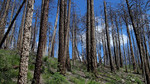 photo thumbnail #10