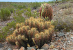 photo thumbnail #3