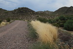 photo thumbnail #5