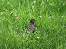 photo thumbnail #5