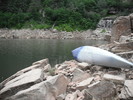 photo thumbnail #5