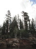 photo thumbnail #12