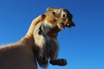photo thumbnail #1