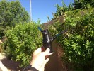 photo thumbnail #1
