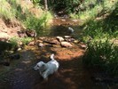 photo thumbnail #3