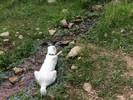 photo thumbnail #12