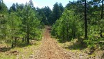 photo thumbnail #7