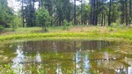 photo thumbnail #8