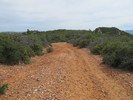 photo thumbnail #3