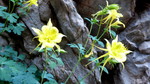 photo thumbnail #12