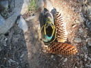 photo thumbnail #6