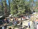 photo thumbnail #9