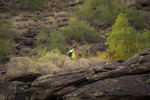 photo thumbnail #5