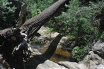 photo thumbnail #4